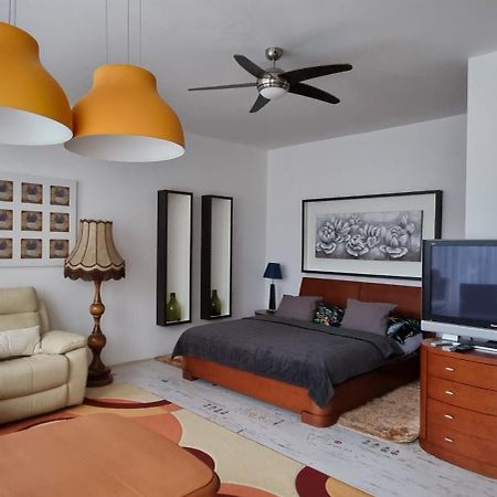 Zluty Apartman A6 V Chomutove公寓 外观 照片