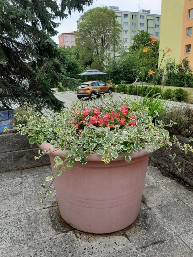 Zluty Apartman A6 V Chomutove公寓 外观 照片